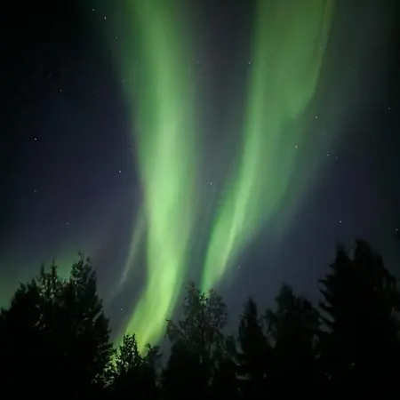 Sallan Lomavaeinoe 15 * 萨拉